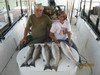 (10/04/2016) - Nice Striped Bass